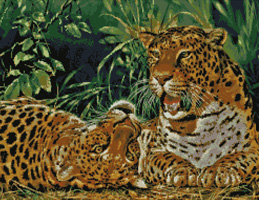 Kustom Krafts - Playful Leopards 