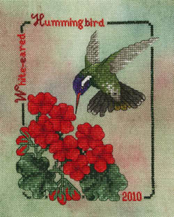 Crossed Wing Collection - White-Eared Hummingbird (2010) 