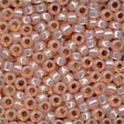 Mill Hill Size 8 Beads - 18819 