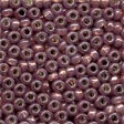 Mill Hill Size 8 Beads - 18821 