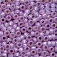 Mill Hill Size 8 Beads - 18824 