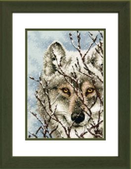 Dimensions Gold Collection - Wolf - incl. frame green