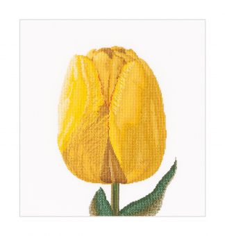 Thea Gouverneur - Counted Cross Stitch Kit - Yellow Hybrid Tulip - Linen - 32 count - 522 