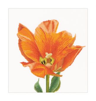 Thea Gouverneur - Counted Cross Stitch Kit - Orange Triumph Tulip - Linen - 32 count - 523 