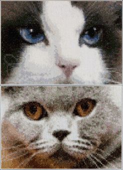 Thea Gouverneur - Counted Cross Stitch Kit - Cats Smokey + Blu - Aida - 16 count - 542A 