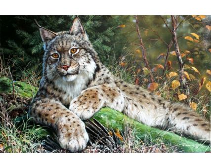 Diamond Embroidery/ Diamond Painting - Lynx 