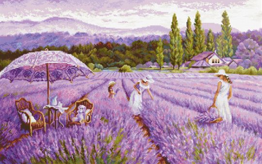 Luca-S -GOLD  Collection - LAVENDER FIELD 