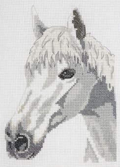 Anchor Cross Stitch - White Beauty - Horse 