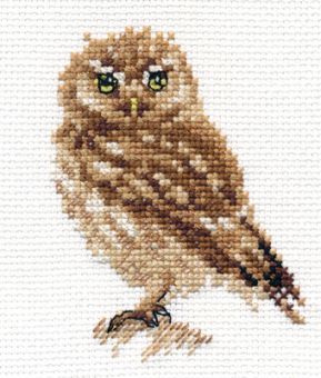 Alisa - Owl 