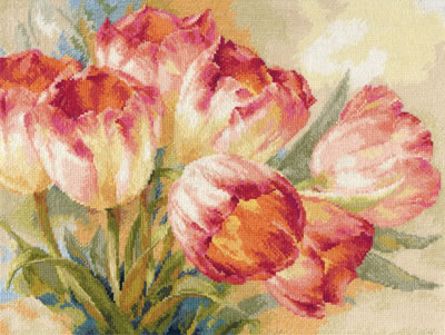Alisa - Tulips 