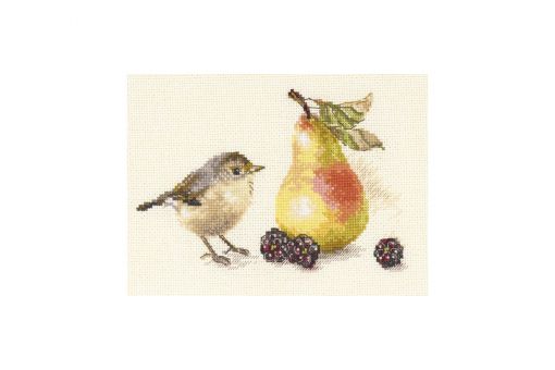 Alisa - BIRD AND A PEAR 