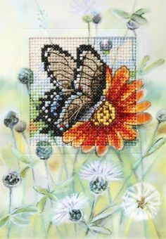 Orchidea - Greeting card Butterfly 2 