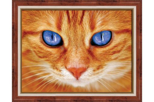 Diamond Painting Artibalta - BLUE-EYED CAT 