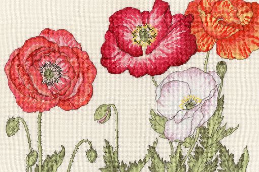 Bothy Threads - Poppy Blooms 