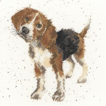 Bothy Threads - Beagle 