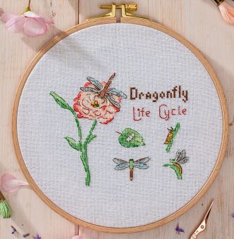Super SALE Anchor Essentials - Dragonfly Life Cycle 