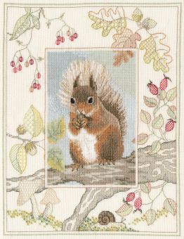 Derwentwater Designs - Wildlife – Red Squirrel 