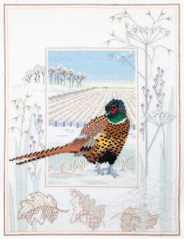 Derwentwater Designs - Wildlife – Pheasant 