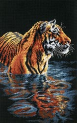 Dimensions - Tiger Chilling Out 