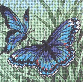 Dimensions Needlepoint - Butterfly Duo 
