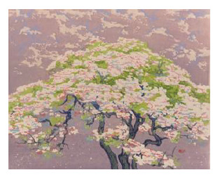 DMC - Cherry blossom by William Giles 