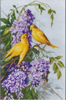 Expressions - Birds and lilac 