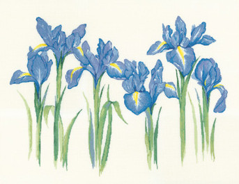 Super SALE Heritage Stitchcraft - Irises 