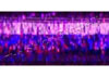 Kreinik Blending Filament - Punchy Purple Holographic 