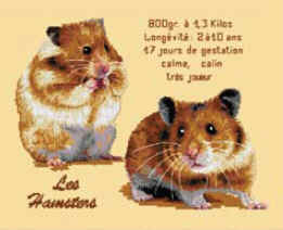 Luc Création - Les Hamsters 