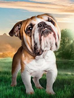 Diamond Painting Crafting Spark - Dreaming Dog 