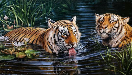 Diamond Painting Crafting Spark - Tigers 