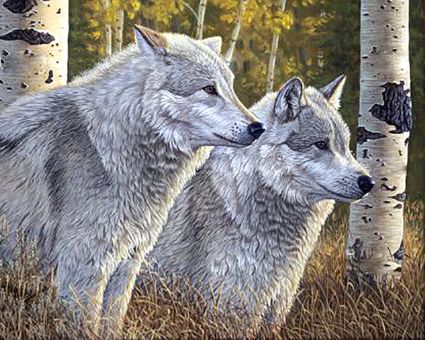 Diamond Painting Crafting Spark - Wolves 