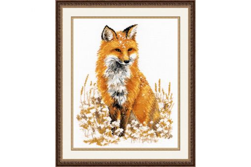 Oven - BEAUTIFUL FOX 