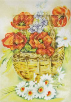 Orchidea - Greeting card poppies 