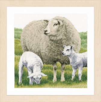 Lanarte - Sheep 