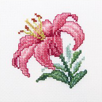 RTO Miniature - Pink lily 