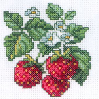 RTO Miniature - Wild strawberries 