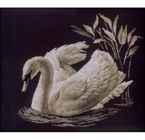 RTO Swan 