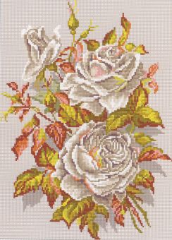 RTO - White Roses 