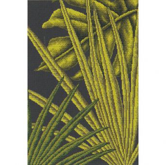 RTO - Palm leaves 1 