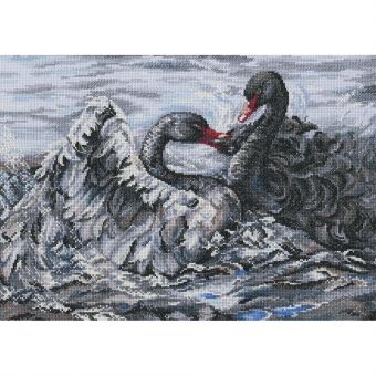 RTO - Two Black Swans 