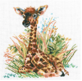 RTO - Little giraffe 