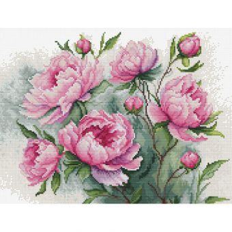 Luca-S - THE CHARM OF PEONIES 