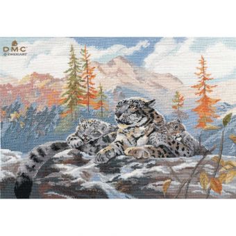 Oven - SNOW LEOPARD 