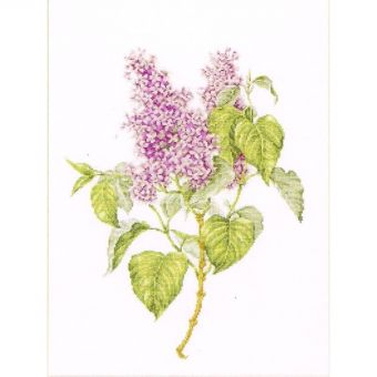 Thea Gouverneur - Kreuzstich-Set - Lilac 